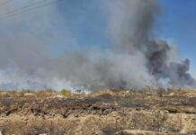 Няма глобени за паленето на гуми край Околовръстното