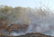 Пожар в хвостохранилището край с. Катуница