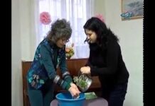 Арт Нюанси 28.01.2018