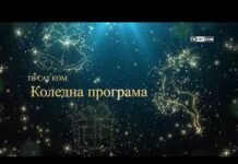 Запалване на коледните светлини в Асеновград 04.12.2023