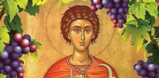 Днес почитаме Св. Трифон-покровителя на лозарите и винарите