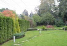 Пет са офертите за доставка на растителност за Асеновград