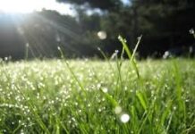 Слънце и дъжд ще се редуват през цялата седмица