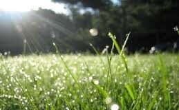 Слънце и дъжд ще се редуват през цялата седмица