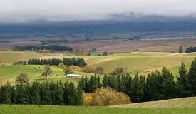 Заседания на комисиите от Закон за собствеността и ползването на земеделските земи за календарната 2018