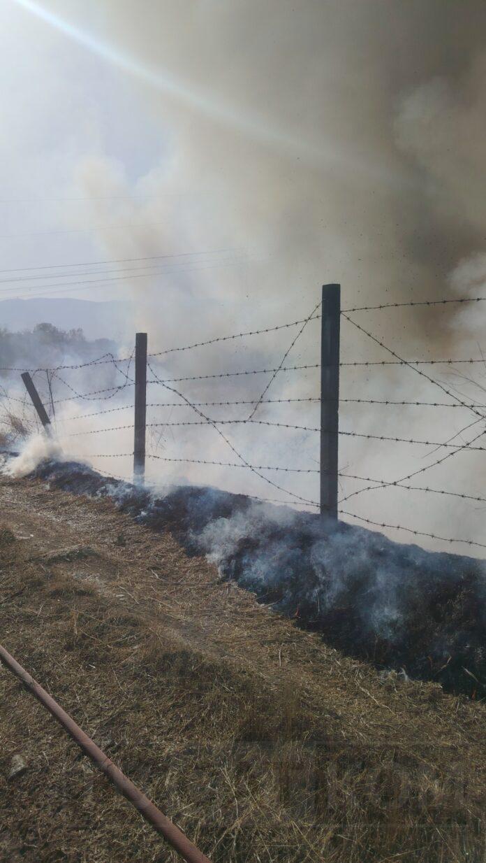 IMG-4f43e0175414b2ce32eeb9553c69ee97-V