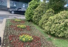 Цветни фигури красят Асеновград