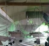 Разкриха лаборатория за производство на марихуана край село Мулдава