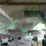 Разкриха лаборатория за производство на марихуана край село Мулдава