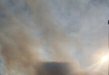 Димът от големия пожар в близост до село Хвойна се усети и в Асеновград