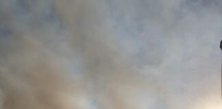 Димът от големия пожар в близост до село Хвойна се усети и в Асеновград