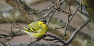 Акция в Асеновград