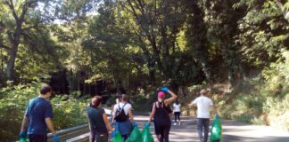 Община Асеновград се включва в националната кампания „Да изчистим България заедно”