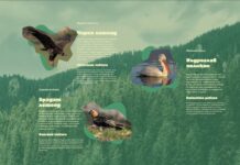 Изложбата „Уязвимите“ разполагат на три локации в Пловдив