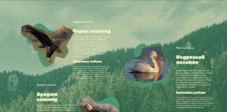 Изложбата „Уязвимите“ разполагат на три локации в Пловдив