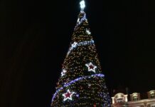 Елхата и празничните светлини в Пловдив засияха