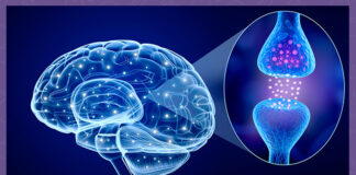 Днес в Световен ден за борба с множествената склероза