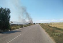 Два пожара в пловдивско днес