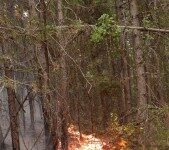 Три са огнищата край Югово