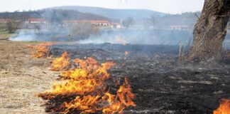 Множество сигнали за горящи сухи треви