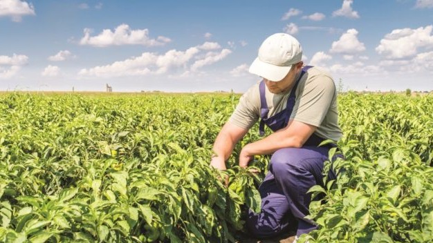 inbound33743077404070048