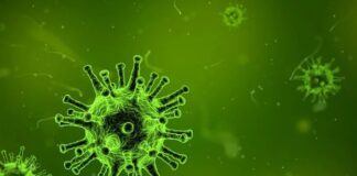 Близо хиляда нови случаи на заразени с Ковид