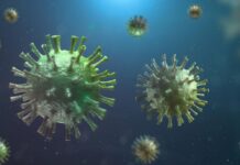 51 нови случая на COVID-19 са потвърдени у нас през последното денонощие, 7 са излекувани