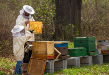 До 31 януари 2021 г. пчеларите и стопаните, обработващи площи със земеделски култури, трябва да се регистрират в оповестителната система за пръскания на БАБХ