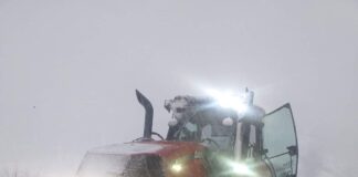 Четири машини чистят снега в Асеновградско