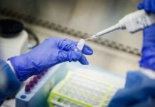 8 са новите случаи на COVID-19 за последните 24 часа в Пловдив област