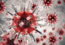 1474 регистрирани с Covid-19 в Асеновград