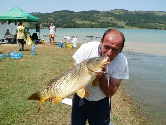 inbound5144184527917531322