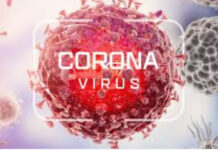 56 новодиагностицирани случаи на COVID-19 в Пловдив област за денонощие