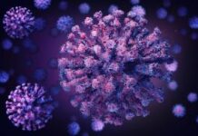 382 са новите случаи на коронавирусна инфекция, потвърдени през изминалите 24 часа в Пловдив и областта