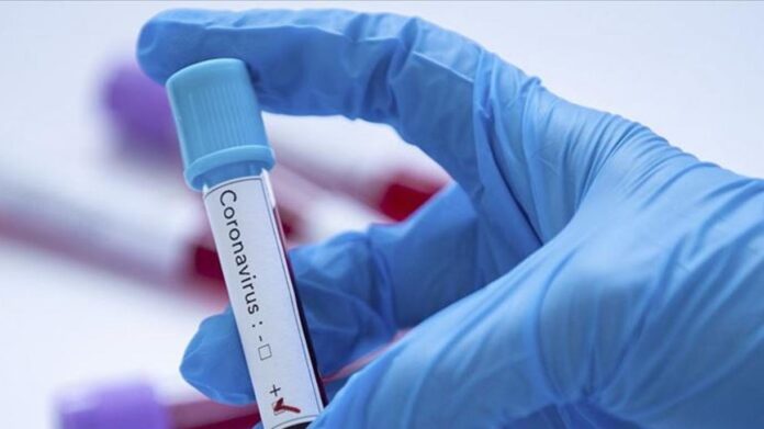 inbound6330986658834457157