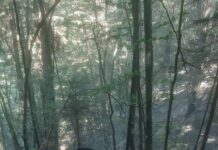 Военнослужещи от Сухопътните войски и днес оказват помощ в гасенето на пожара над село Югово