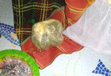 Двама дилъри, пласирали дрога на ученици са задържани в полицейския арест