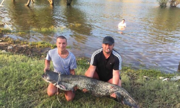 inbound7152215257725480456