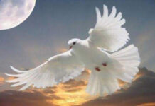 Днес отбелязваме и Деня на спасението