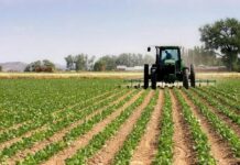 Земеделските стопани могат да подават документи за пререгистрация и по електронна поща