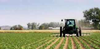 Земеделските стопани могат да подават документи за пререгистрация и по електронна поща