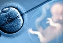 Набират документи за подпомагане на семейства за инвитро процедури инвитро