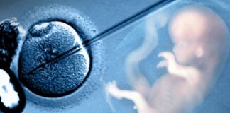 Набират документи за подпомагане на семейства за инвитро процедури инвитро