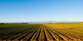 Надбавките за млади фермери ще бъдат увеличени двойно от 2018 г.