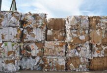 Рециклират ли фирмите у нас огромните количества хартия, които използват