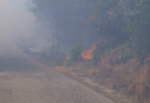 Пожар около язовир „40-те извора“