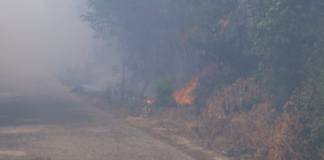 Пожар около язовир „40-те извора“