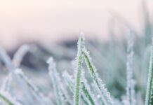 Жълт код за ниски температури в пловдивско