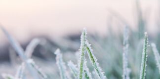 Жълт код за ниски температури в пловдивско