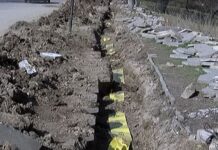 EVN с голям инвестиционен проект в Асеновград